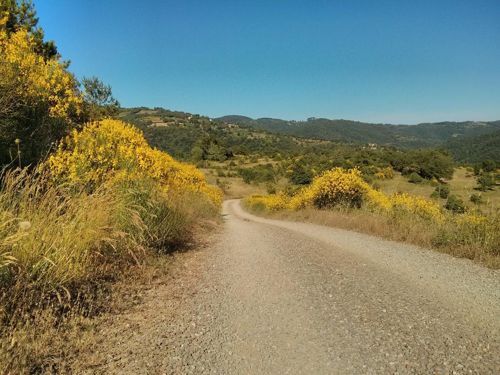 Forte Di Tregognano Chiaveretto Номер фото